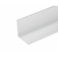 Randall 2In. ANGLE 1/8In. WALL 4 FT M-668